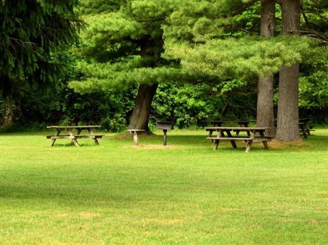 park